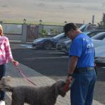 CambriaCN_0204 (November 06, 2016)